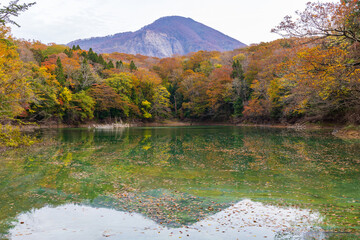 日本の風景・秋　世界遺産・白神山地　紅葉の十二湖　日暮の池