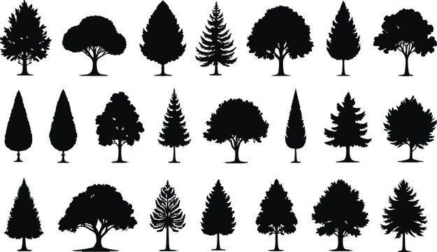 United States Coast Guard Day T Shirt Design with American Flag - Powered by Adobe