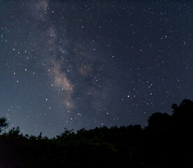 Naklejka premium starry night sky