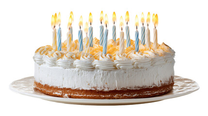 Birthday cake with lit candles