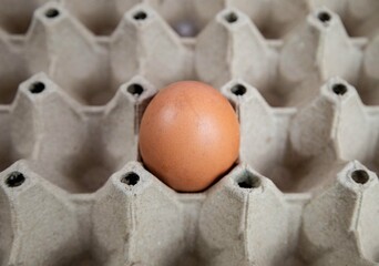 Brown egg in paper tray for cooking on isolated 