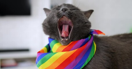 Playful cat wearing rainbow scarf lounges proudly on sofa, scene celebrating freedom and equality through adorable feline activism, perfect for inclusive social media and pet advocacy content.