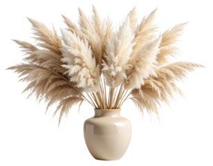  Pampas Grass in Minimal Ceramic Vase Chic Home isolated on transparent background PNG
