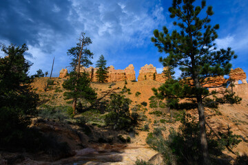 Scenic ridgeline at twilight with beautiful orange rock formations and ponderosa pine trees, Mossy Cave Trail, Bryce Canyon National Park, Utah
