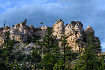 Scenic ridgeline at twilight with beautiful white rock formations and ponderosa pine trees, Mossy Cave Trail, Bryce Canyon National Park, Utah
