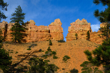 Scenic ridgeline at twilight with beautiful orange rock formations and ponderosa pine trees, Mossy Cave Trail, Bryce Canyon National Park, Utah
