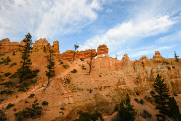 Scenic ridgeline at twilight with beautiful orange rock formations and ponderosa pine trees, Mossy Cave Trail, Bryce Canyon National Park, Utah
