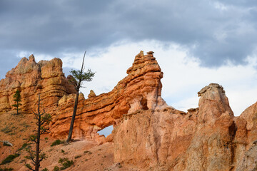 Scenic ridgeline at twilight with beautiful orange rock formations and ponderosa pine trees, Mossy Cave Trail, Bryce Canyon National Park, Utah
