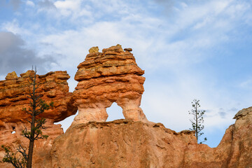 Scenic ridgeline at twilight with beautiful orange rock formations and ponderosa pine trees, Mossy Cave Trail, Bryce Canyon National Park, Utah
