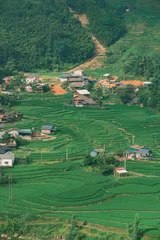 Fototapete Verdant terraced rice fields and lush green hills in Vietnam's Sapa region for travel, agriculture, nature and landscape concepts, 베트남 사파 지역의 푸른 계단식 논과 울창한 언덕 풍경 여행, 농업, 자연, 풍경 콘셉트 활용 © mina kim