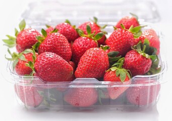 Strawberry, Strawberries are a very important commercial fruit, cultivated in various parts of the world