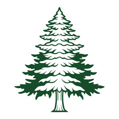 cedar tree vector