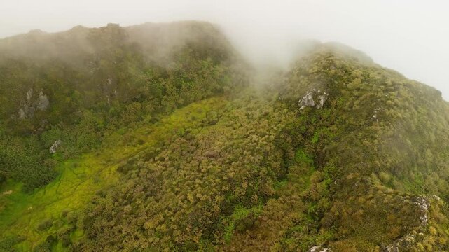 Thick moss carpets the upper slopes of Mount Apo as the ridge disappears into swirling mist, revealing lush textures and a sense of untouched highland wilderness.