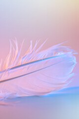 Naklejka premium Macro Close-up of Delicate Feather with Soft Pastel Lighting