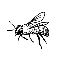 stylized bee insect design