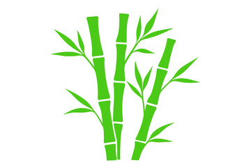 Fototapeta premium Green bamboo stalks growing vigorously, sporting lush foliage against transparent backdrop, representing natural vitality