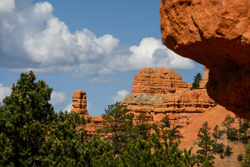 Orange rock hoodoo against a sunny blue sky with puffy white clouds and ponderosa pine trees in the Red Canyon recreation area in the Dixie National Forest, Utah
