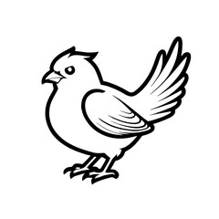 Fototapeta premium hand drawn outline black and white bird.