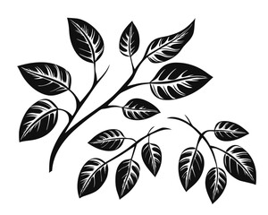 Elegant collection of botanical silhouettes featuring delicate leaves and branching structures perfect for naturalistic design projects and organic themes