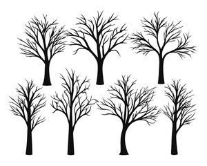 A stark collection of bare deciduous trees their branches stark against a clean white backdrop perfect for seasonal or natural design themes