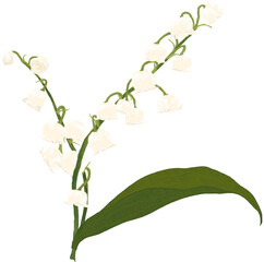 은방울꽃 손그림 일러스트 (lily of the valley flowers)