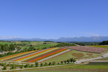 四季彩の丘 - 美しい花々の風景
