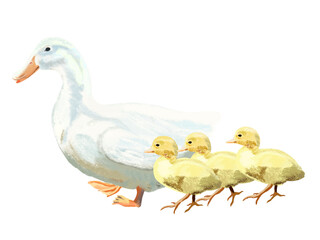 アヒルの親子