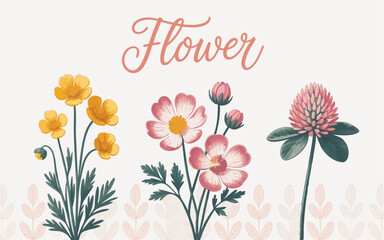 Illustrated Flower Arrangement Yellow Buttercups, Pink Cosmos, and Clover Blossom on a Cream Background