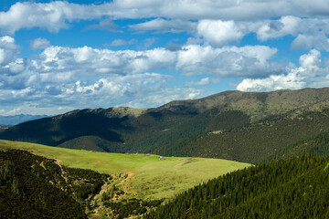 Alpine grassland with blue sky
