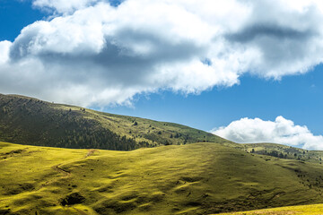 Alpine grassland with blue sky