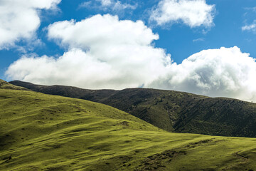 Alpine grassland with blue sky
