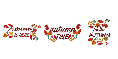 Set of  Autumn decoration calligraphy. Autumnal leaves decoration text for design. Vector illustration.