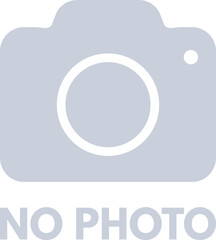 No photo icon with text isolated on white background . No picture icon . No image icon . Vector illustration