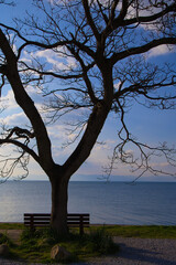 琵琶湖 あのベンチ