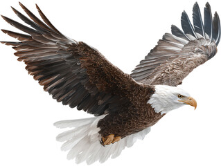 Fototapeta premium Penguin flying, transparent background PNG clipart cutout