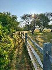 Sunlight filtering through trees along a rustic fence line