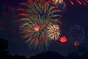 Fireworks decorating the night sky with bursts of light and color over the tree tops celebrating...