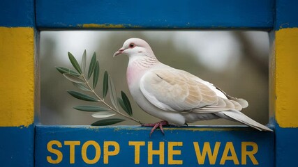 Dove of Peace on Ukraine Flag Stop War Wall Representing Peace and Solidarity
