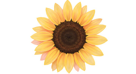 Fototapeta premium Detailed Closeup of a Vibrant Yellow Sunflower