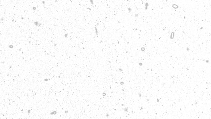Realistic falling snow overlay with transparent background
