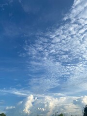 Scenic Blue Sky with Clouds and Trees
