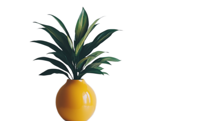 Vibrant pineapple plant in a yellow pot