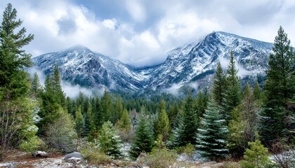 Fototapeta premium Snowy mountain vista, winter forest