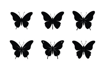 set of vector butterflies