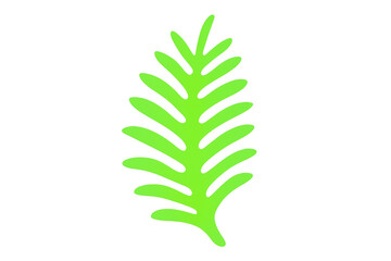 Vibrant green tropical leaf isolated on a transparent background, perfect for adding a touch of nature to designs