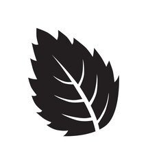 A single black leaf with jagged edges and prominent veins, isolated on a white background.