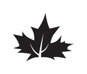 A stylized black maple leaf with prominent veins, set against a white background.