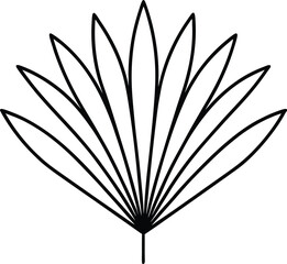 Palm Fan Leaf Tropical Line Art on White Background