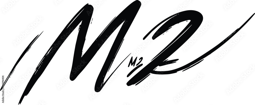 Poster stylish vector mz initials: modern brush stroke design