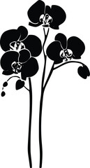 Elegant Black Vector Orchid Floral Silhouette Illustration Design